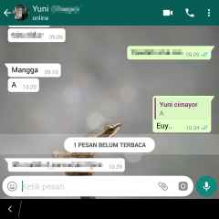 cara merubah tampilan chating di whatsapp cara merubah tampilan chating di whatsapp