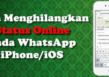 cara paling efektif untuk menyembunyikan status online WhatsApp iphone