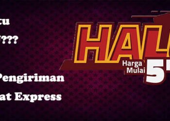 apa itu SiCepat HALU di jasa pengiriman barang SiCepat