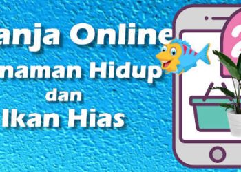 Apa aman beli tanaman dan ikan secara online ini pengalaman saya