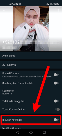 cara menyembunyikan notifikasi dan suara pesan WhatsApp