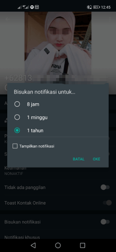 agar pesan whatsapp tidak ketahuan pasangan kita