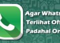 JITU BANGET 2 cara agar WA terlihat offline padahal online