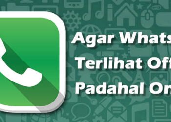 JITU BANGET 2 cara agar WA terlihat offline padahal online