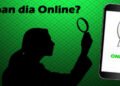 cara mengetahui kapan terakhir dilihat di WA yang disembunyikan